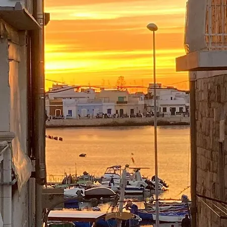 Апартаменты Via Pisa 20 Mansarda *